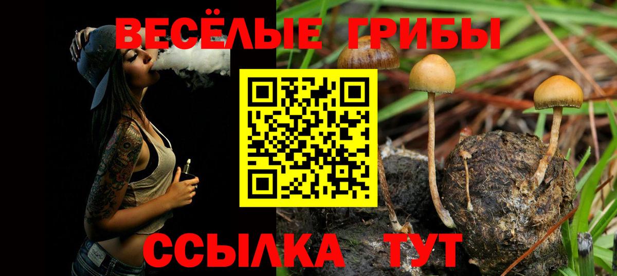 Псилоцибиновые грибы ЛСД  Вход с VPN  Кировск  Псилоцибиновые грибы Cubensis 